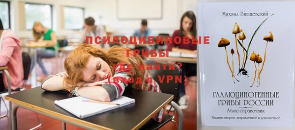 стаф Балахна
