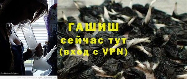 стаф Балахна