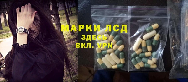 ГАЛЛЮЦИНОГЕННЫЕ ГРИБЫ Баксан